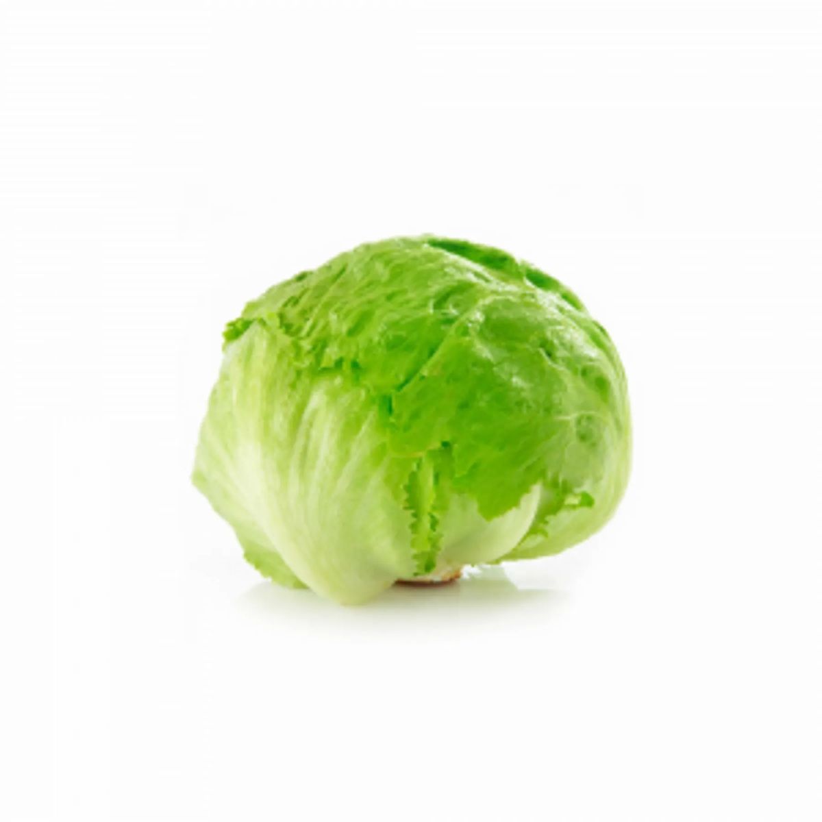 Lechuga escarola